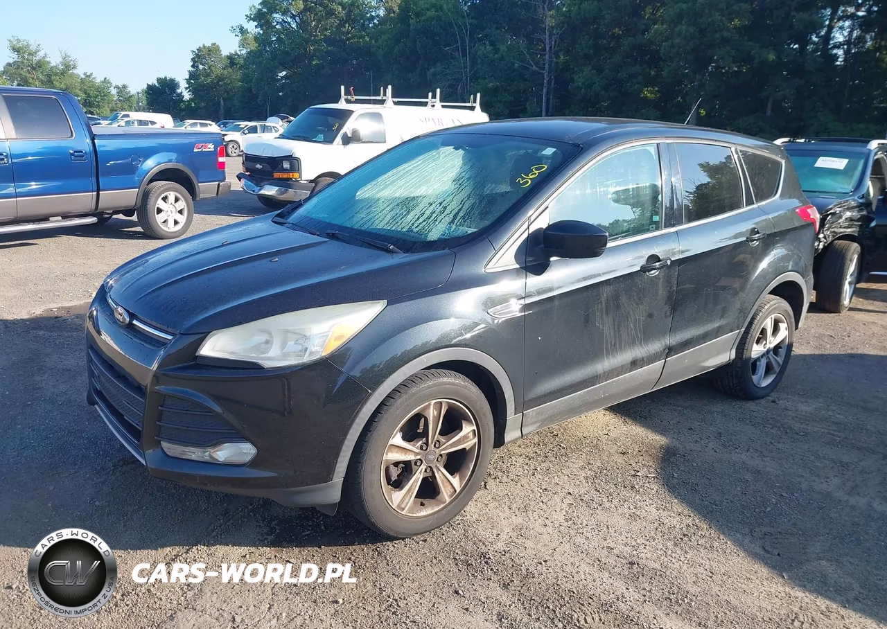 2014 Ford Escape Se VIN:1FMCU0G95EUD21999 - 2