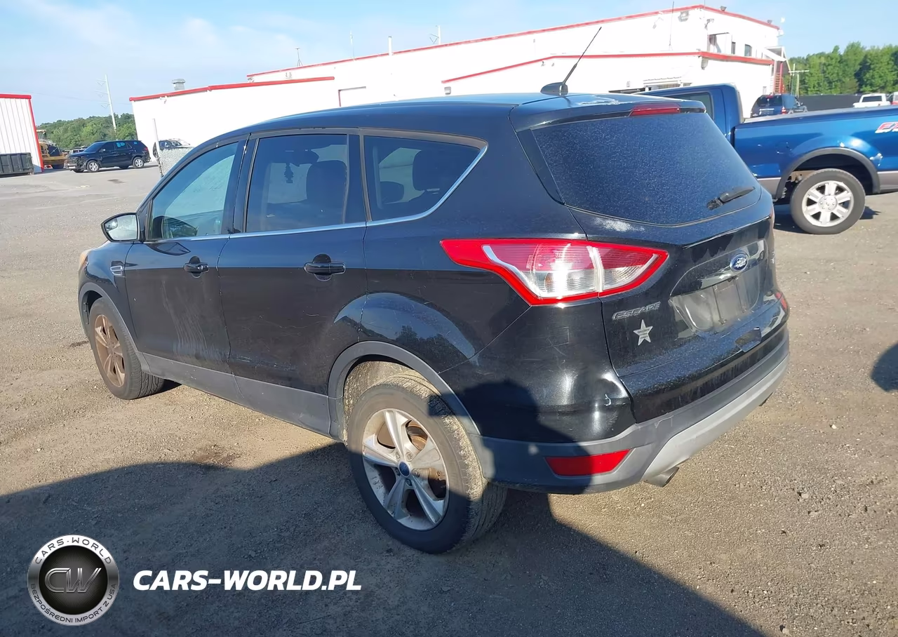 2014 Ford Escape Se VIN:1FMCU0G95EUD21999 - 3