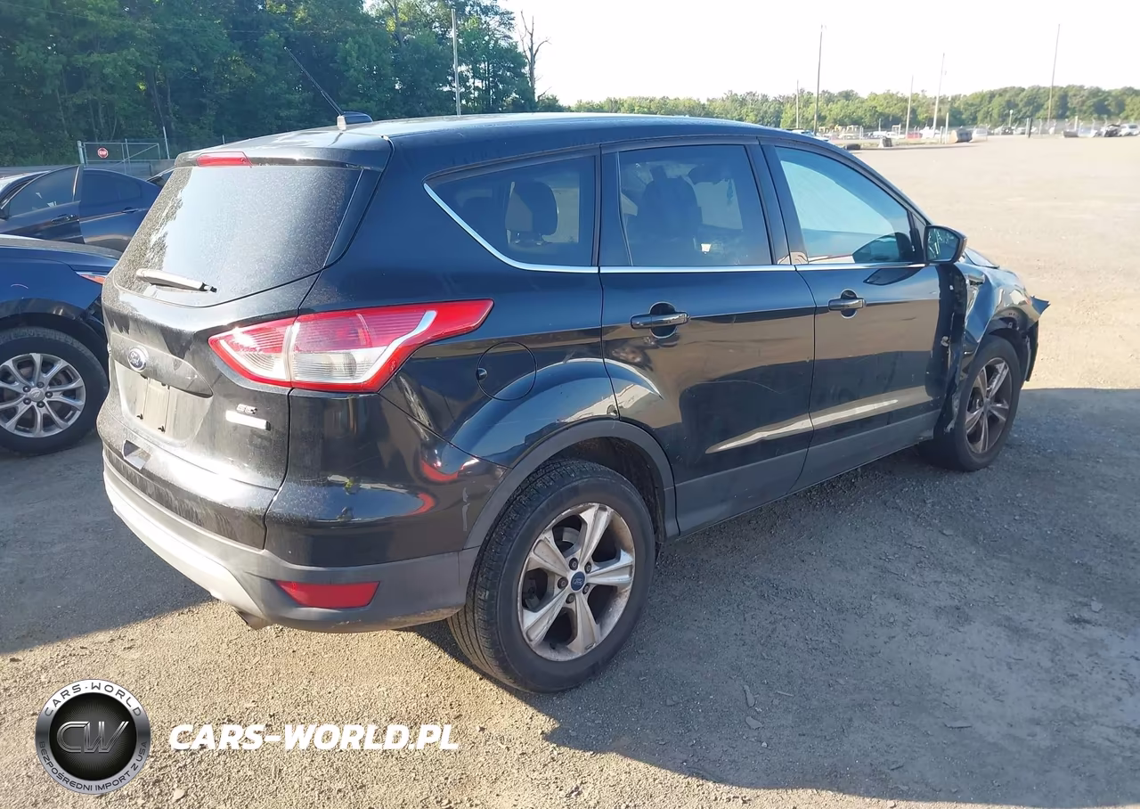 2014 Ford Escape Se VIN:1FMCU0G95EUD21999 - 4