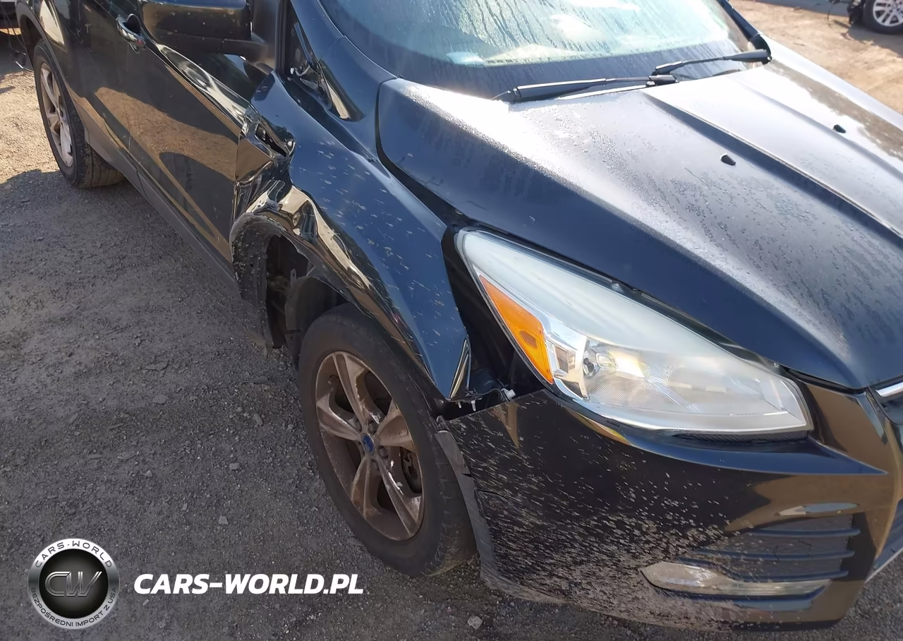 2014 Ford Escape Se VIN:1FMCU0G95EUD21999 - 6