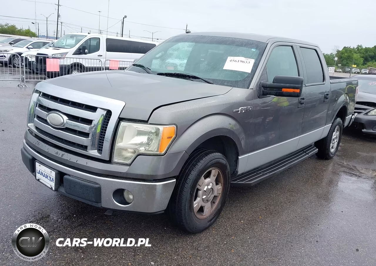 2009 Ford F-150 Xlt VIN:1FTRW12899FB06441 - 2