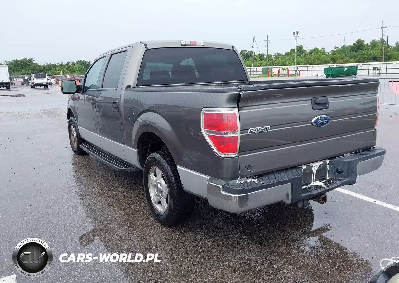 2009 Ford F-150 Xlt VIN:1FTRW12899FB06441 - 3