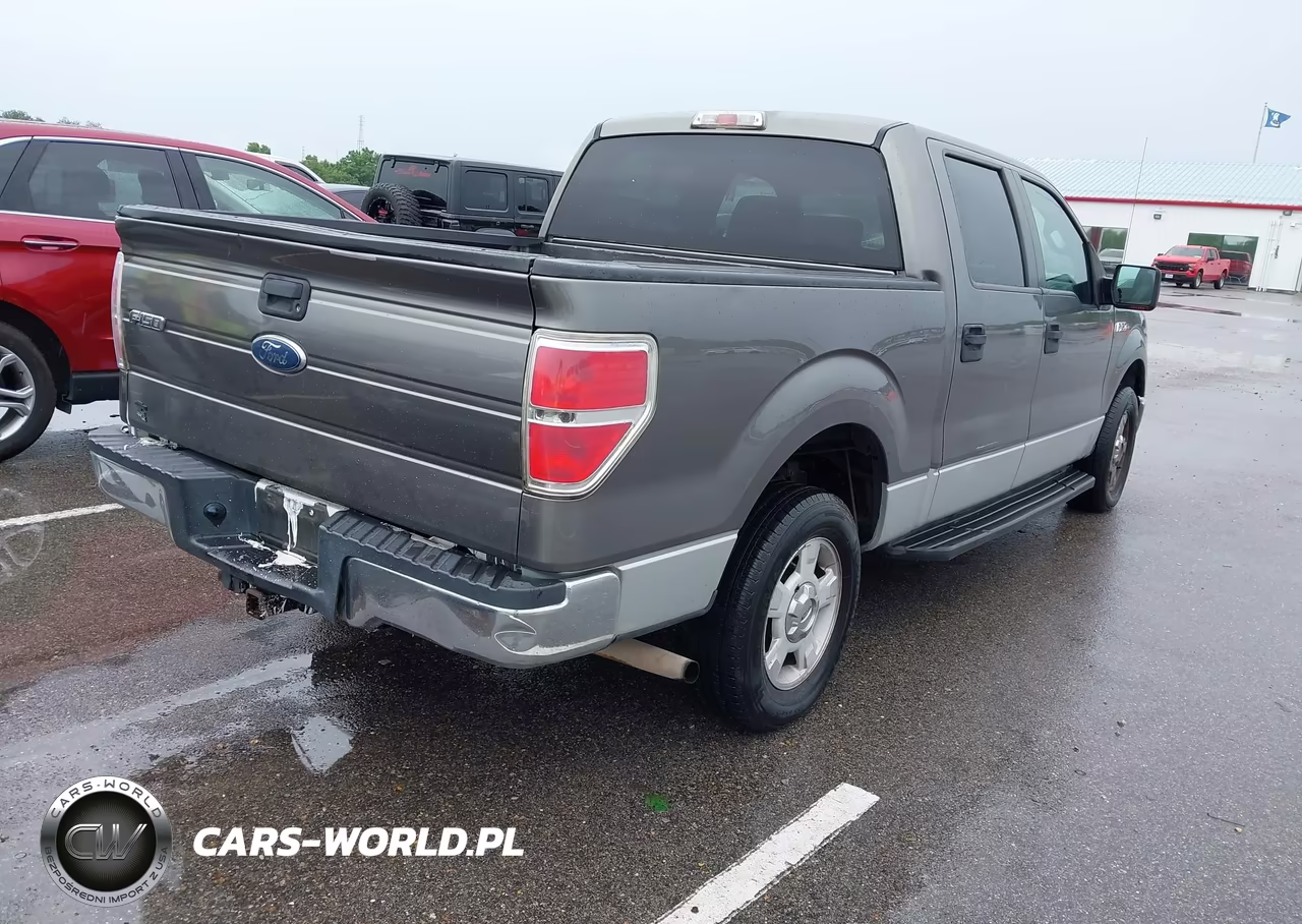 2009 Ford F-150 Xlt VIN:1FTRW12899FB06441 - 4