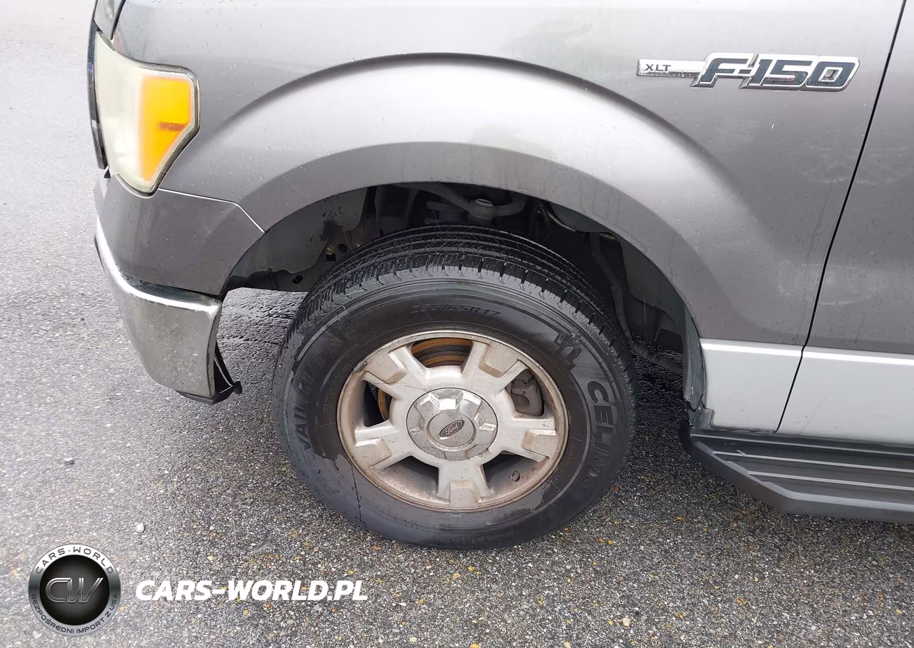 2009 Ford F-150 Xlt VIN:1FTRW12899FB06441 - 6