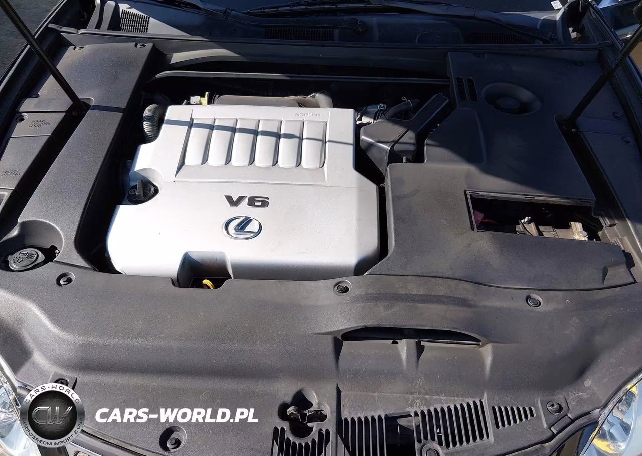 2009 Lexus Es 350 VIN:JTHBJ46G892317428 - 10