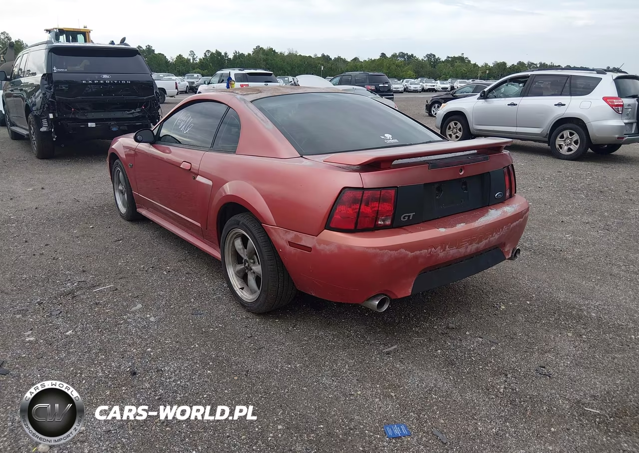 2002 Ford Mustang Gt Deluxe-Gt Premium VIN:1FAFP42X02F103416 - 3