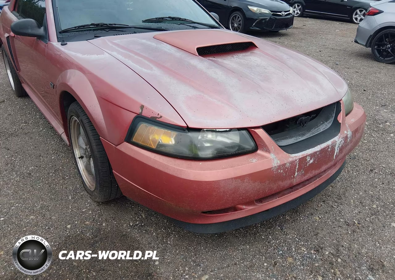 2002 Ford Mustang Gt Deluxe-Gt Premium VIN:1FAFP42X02F103416 - 6