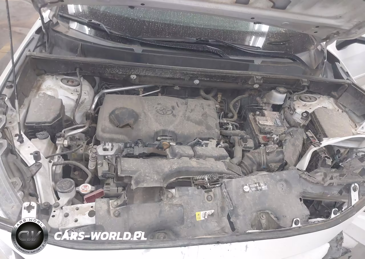 2019 Toyota Rav4 Xle VIN:2T3W1RFV7KW041089 - 10