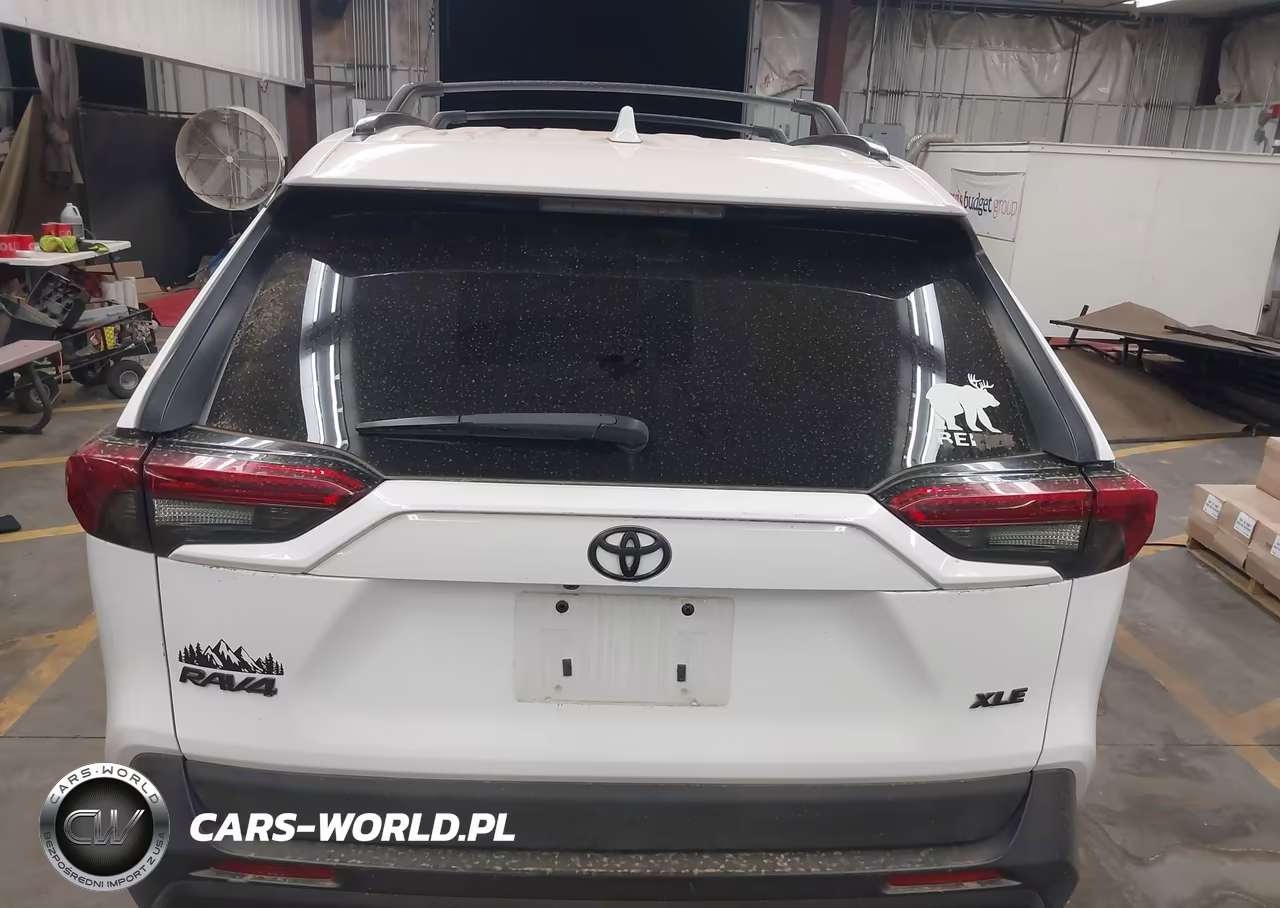 2019 Toyota Rav4 Xle VIN:2T3W1RFV7KW041089 - 15