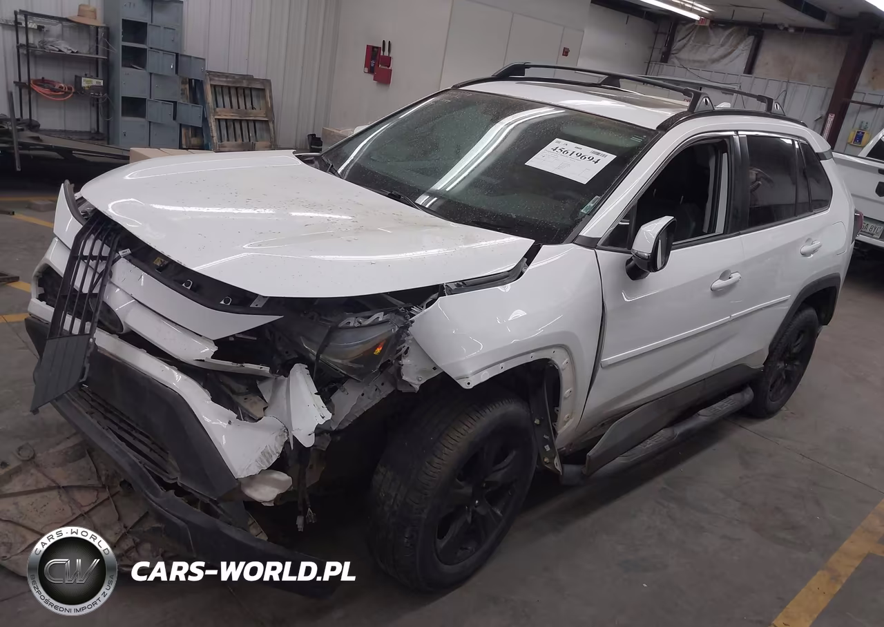 2019 Toyota Rav4 Xle VIN:2T3W1RFV7KW041089 - 2
