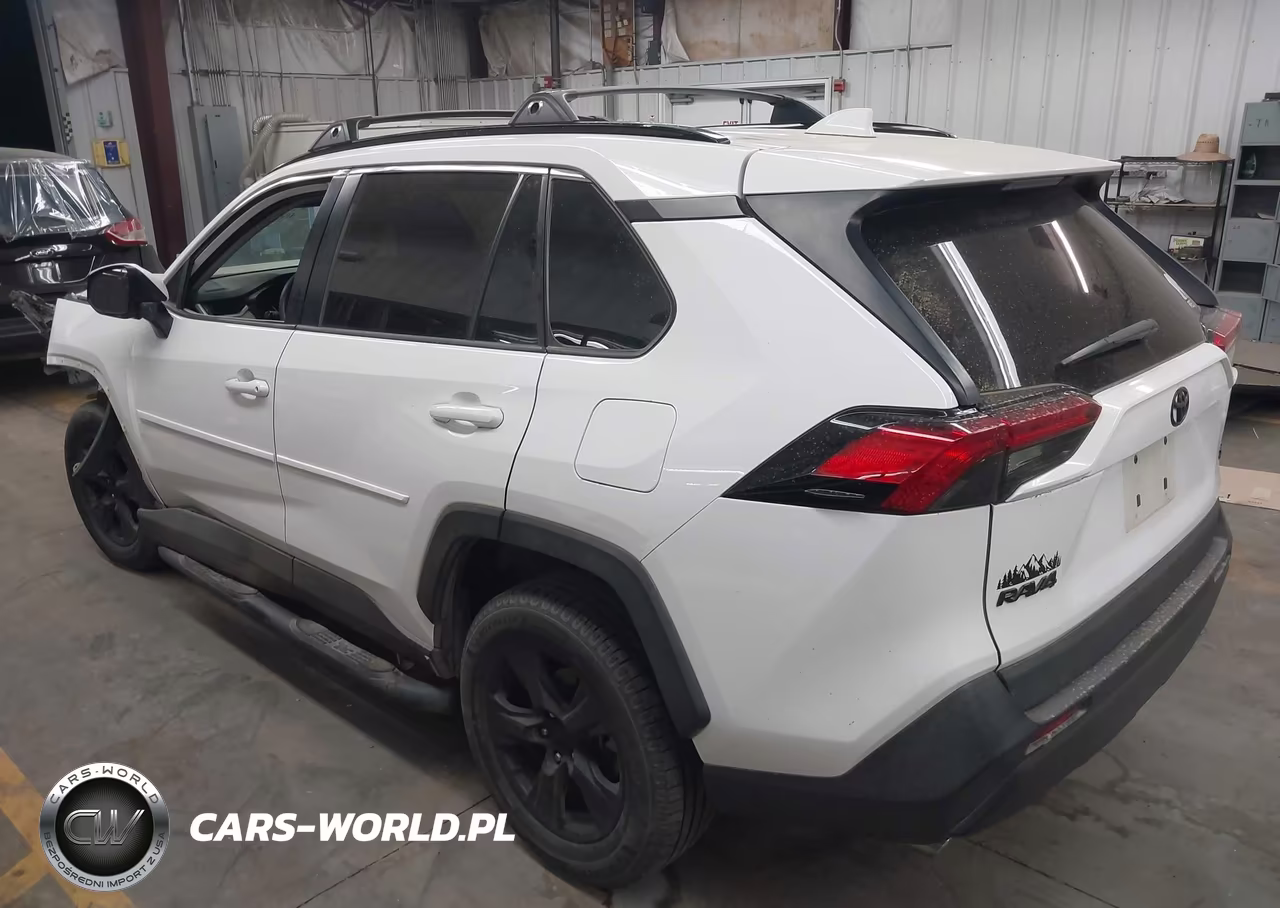 2019 Toyota Rav4 Xle VIN:2T3W1RFV7KW041089 - 3