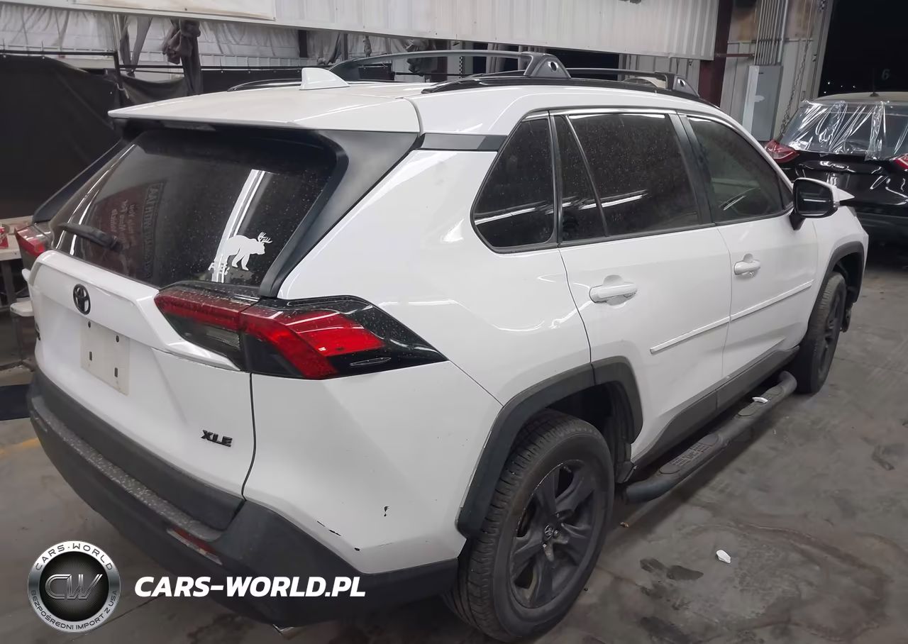 2019 Toyota Rav4 Xle VIN:2T3W1RFV7KW041089 - 4