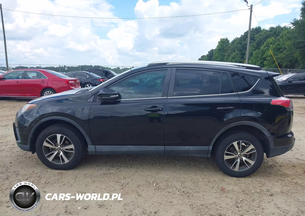 2016 Toyota Rav4 Xle VIN:2T3WFREV6GW261415 - 14