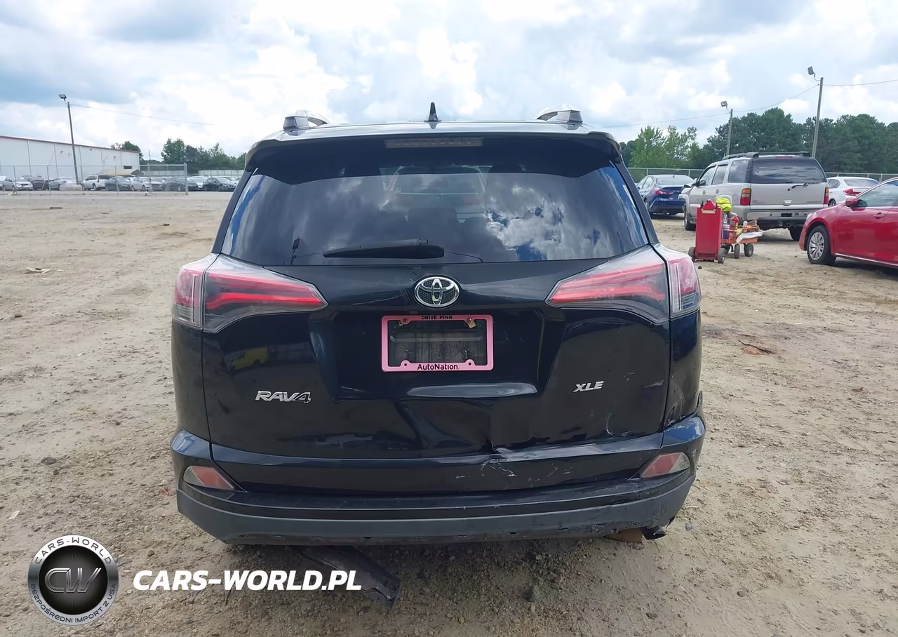 2016 Toyota Rav4 Xle VIN:2T3WFREV6GW261415 - 16