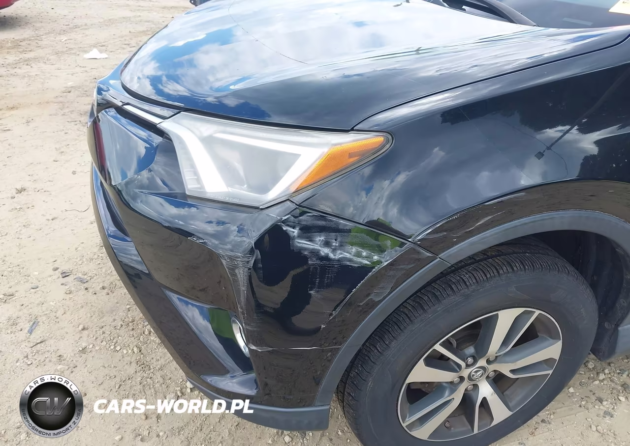 2016 Toyota Rav4 Xle VIN:2T3WFREV6GW261415 - 18