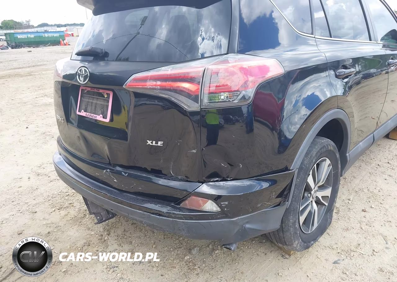 2016 Toyota Rav4 Xle VIN:2T3WFREV6GW261415 - 6