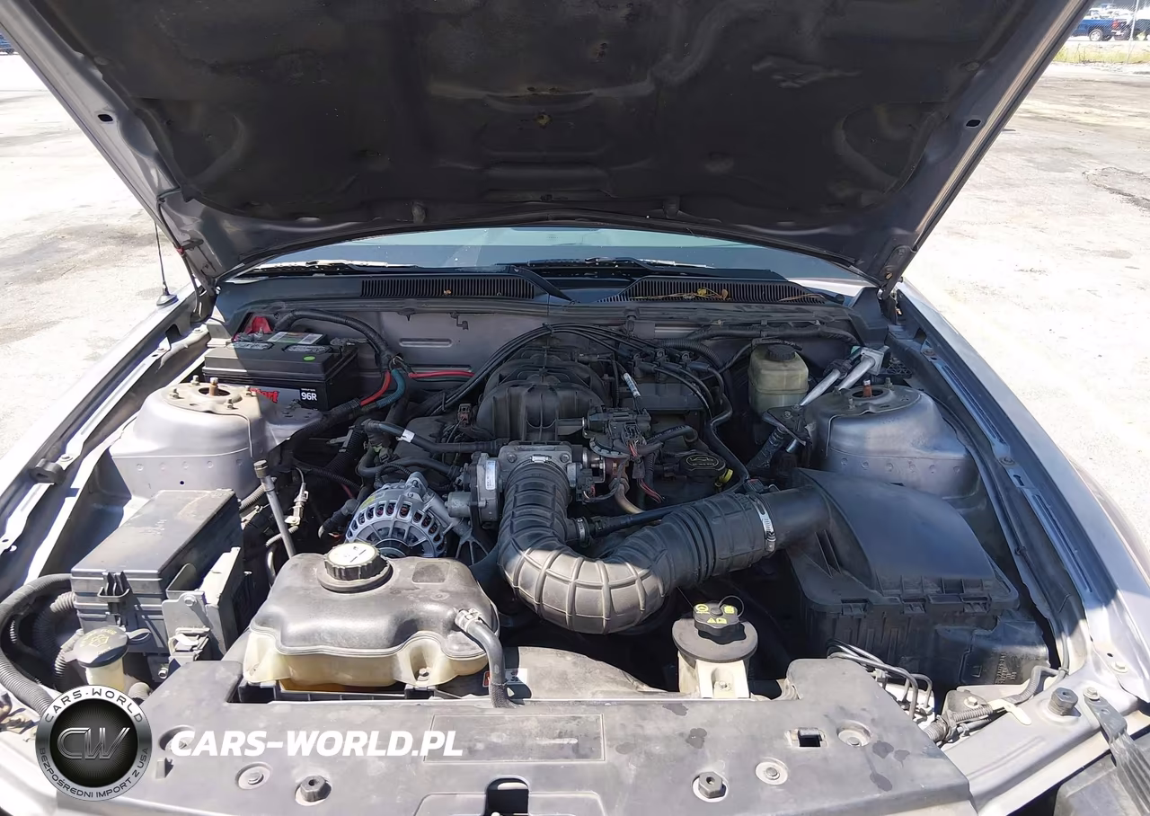 2006 Ford Mustang V6 VIN:1ZVFT80N765132094 - 10