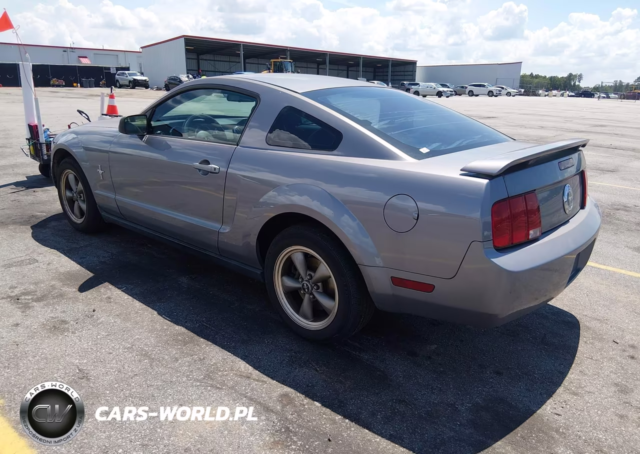 2006 Ford Mustang V6 VIN:1ZVFT80N765132094 - 3