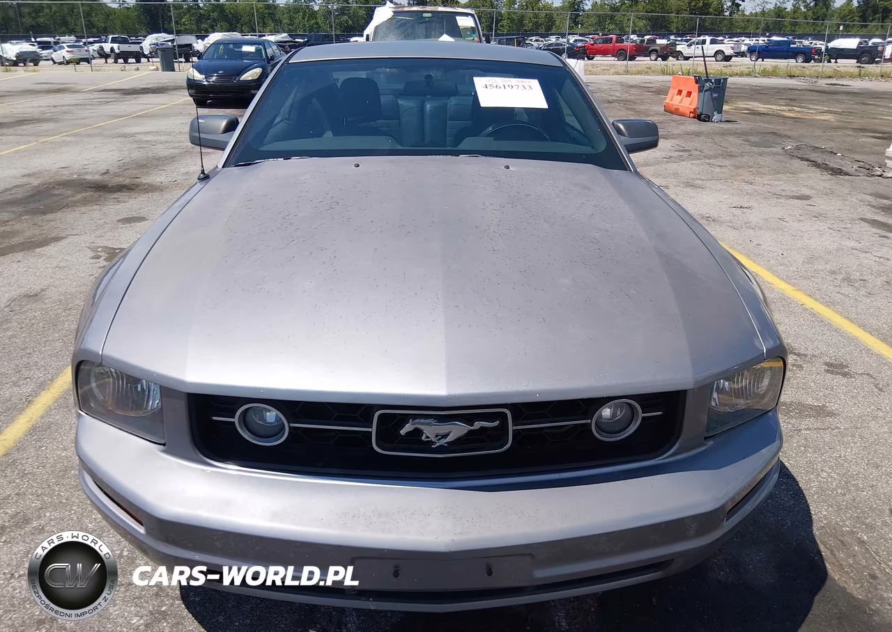 2006 Ford Mustang V6 VIN:1ZVFT80N765132094 - 6