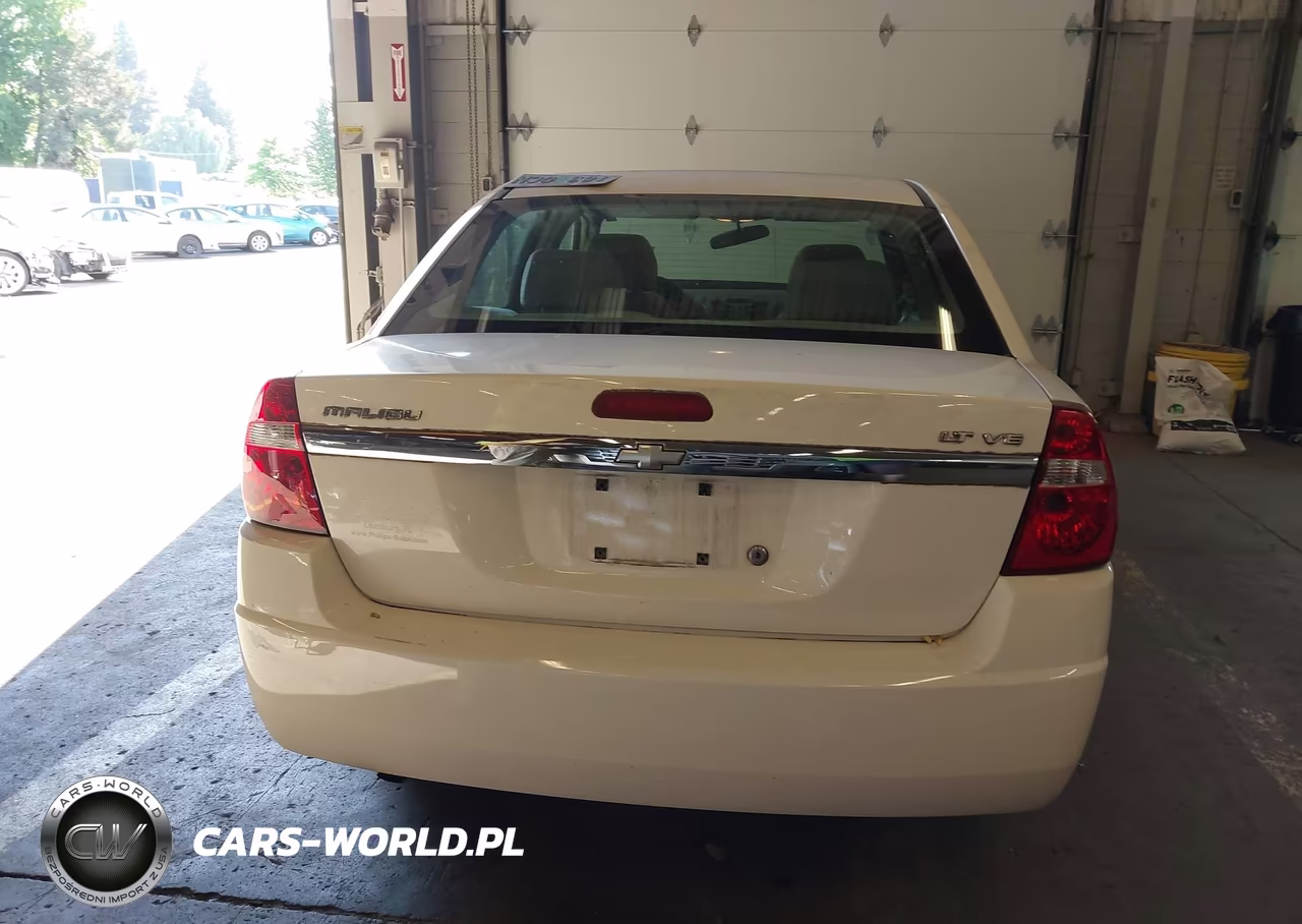 2008 Chevrolet Malibu Classic Lt VIN:1G1ZT58N28F143738 - 17