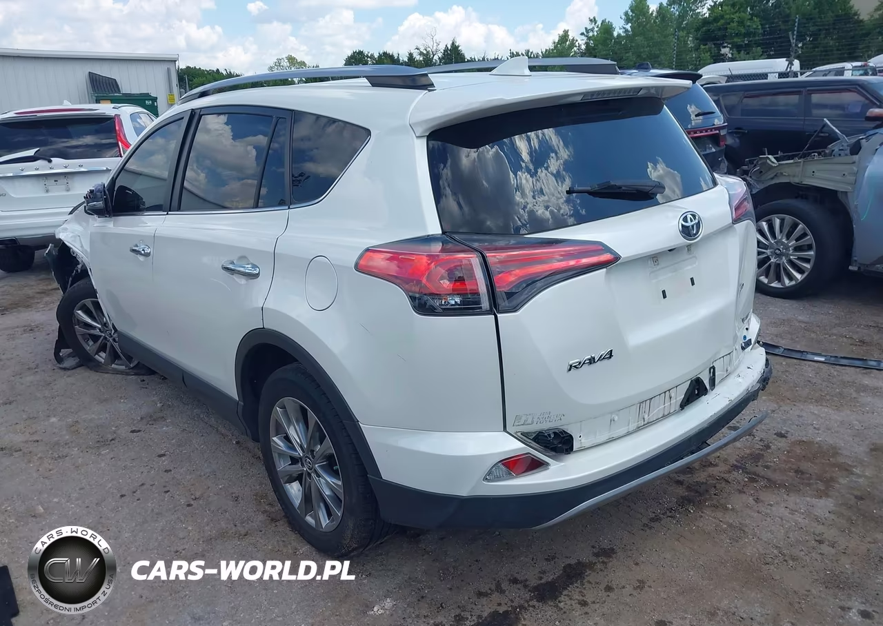 2018 Toyota Rav4 Limited VIN:JTMYFREV6JD127064 - 3