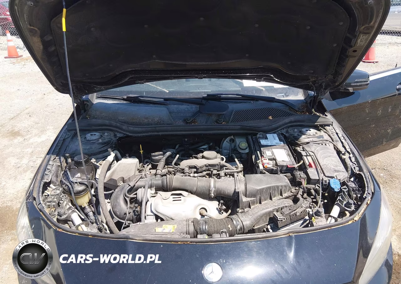2014 Mercedes-Benz Cla 250 VIN:WDDSJ4EBXEN030680 - 10