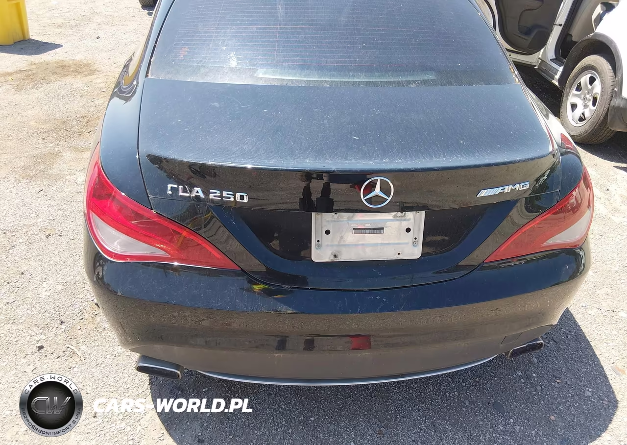 2014 Mercedes-Benz Cla 250 VIN:WDDSJ4EBXEN030680 - 13