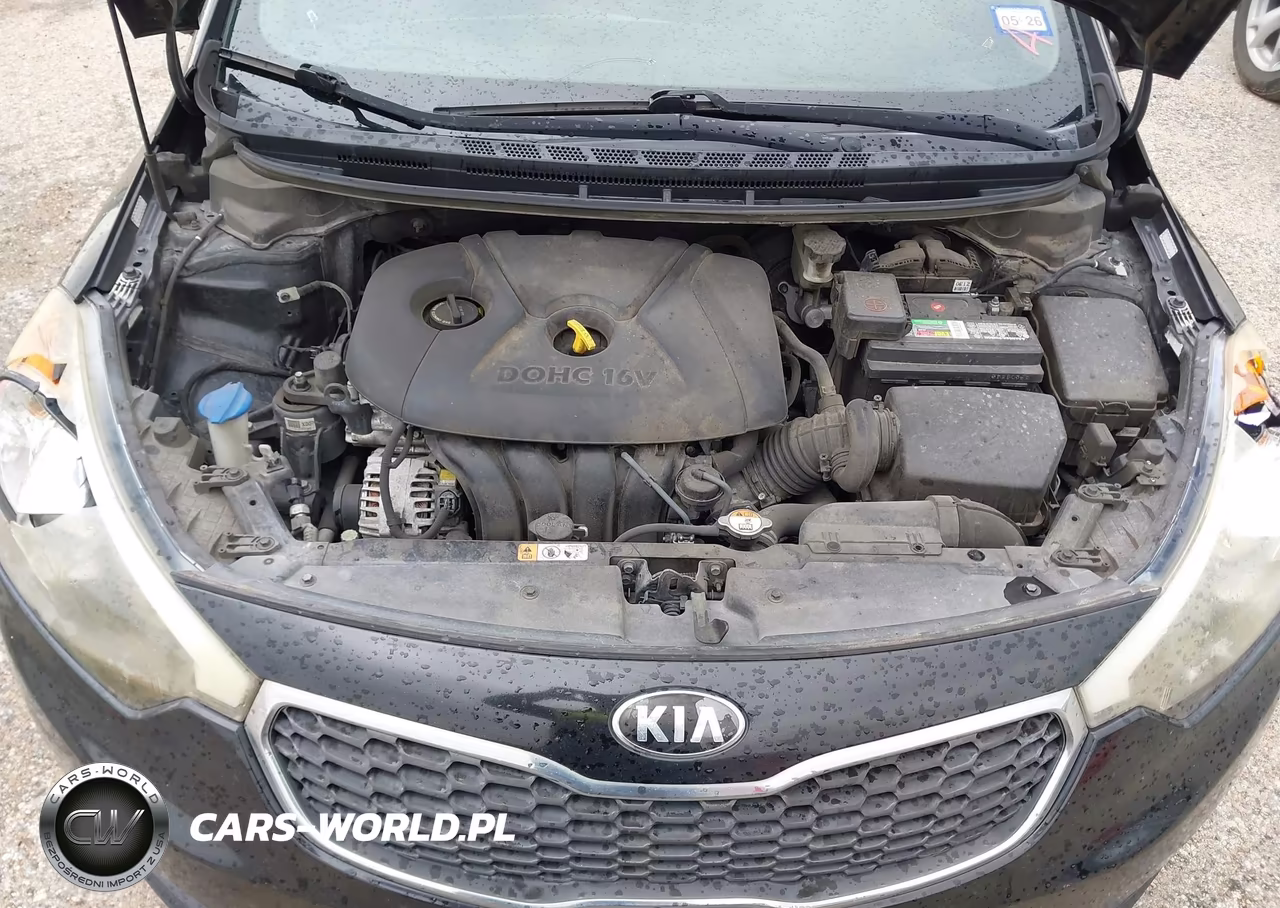 2016 Kia Forte Lx VIN:KNAFK4A65G5470226 - 10