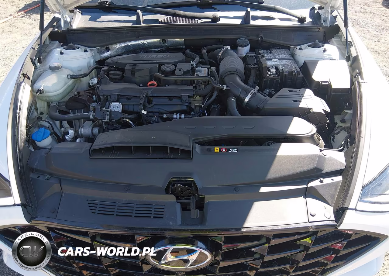 2020 Hyundai Sonata Limited VIN:5NPEH4J22LH052596 - 10
