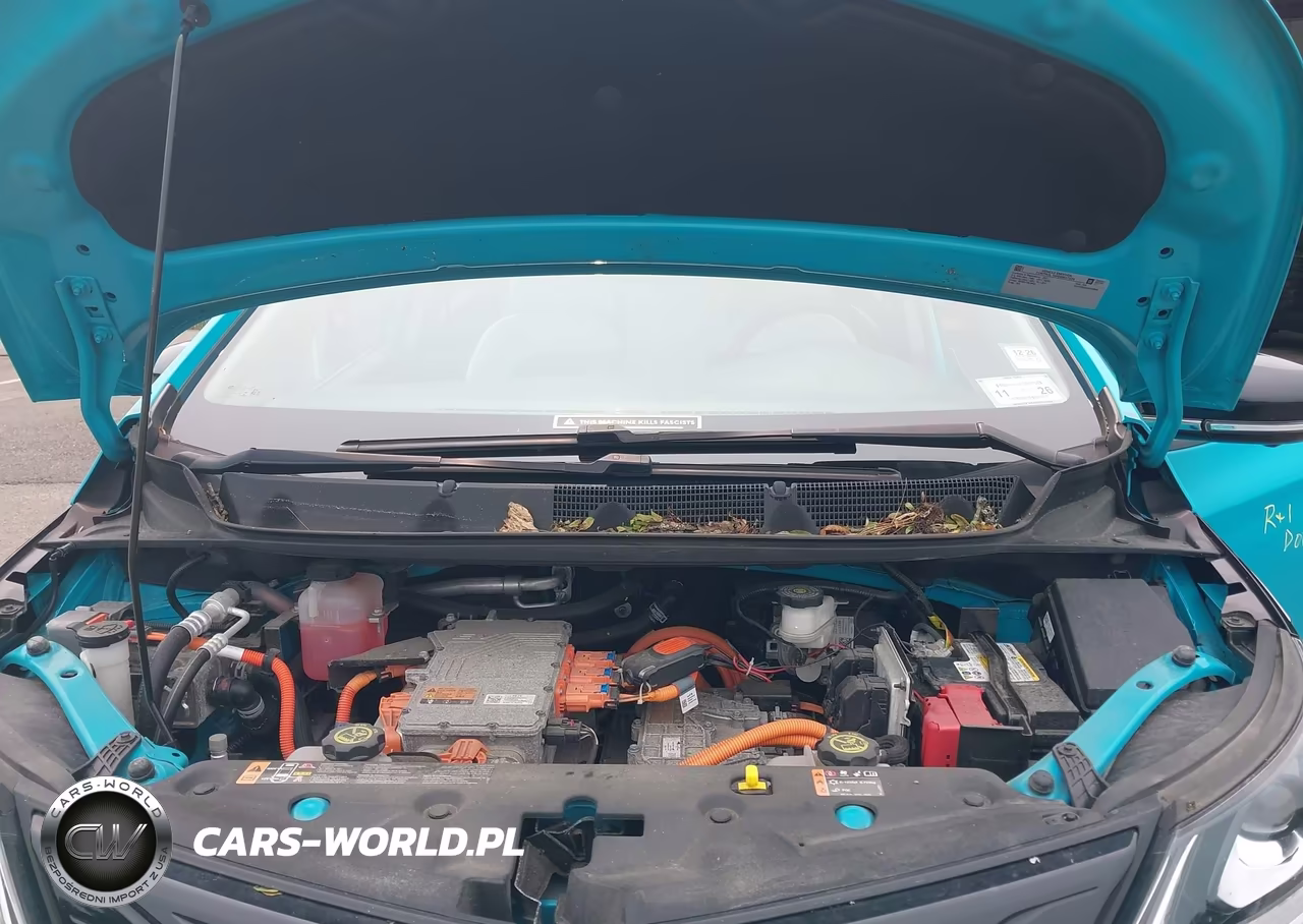 2021 Chevrolet Bolt Ev Fwd Premier VIN:1G1FZ6S05M4100859 - 10