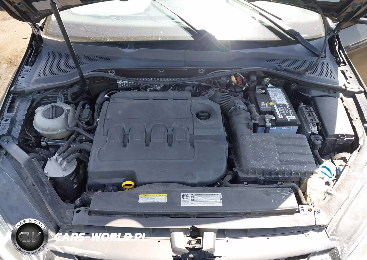 2015 Volkswagen Golf Sportwagen Tdi S 4-Door VIN:3VWCA7AU6FM514443 - 10
