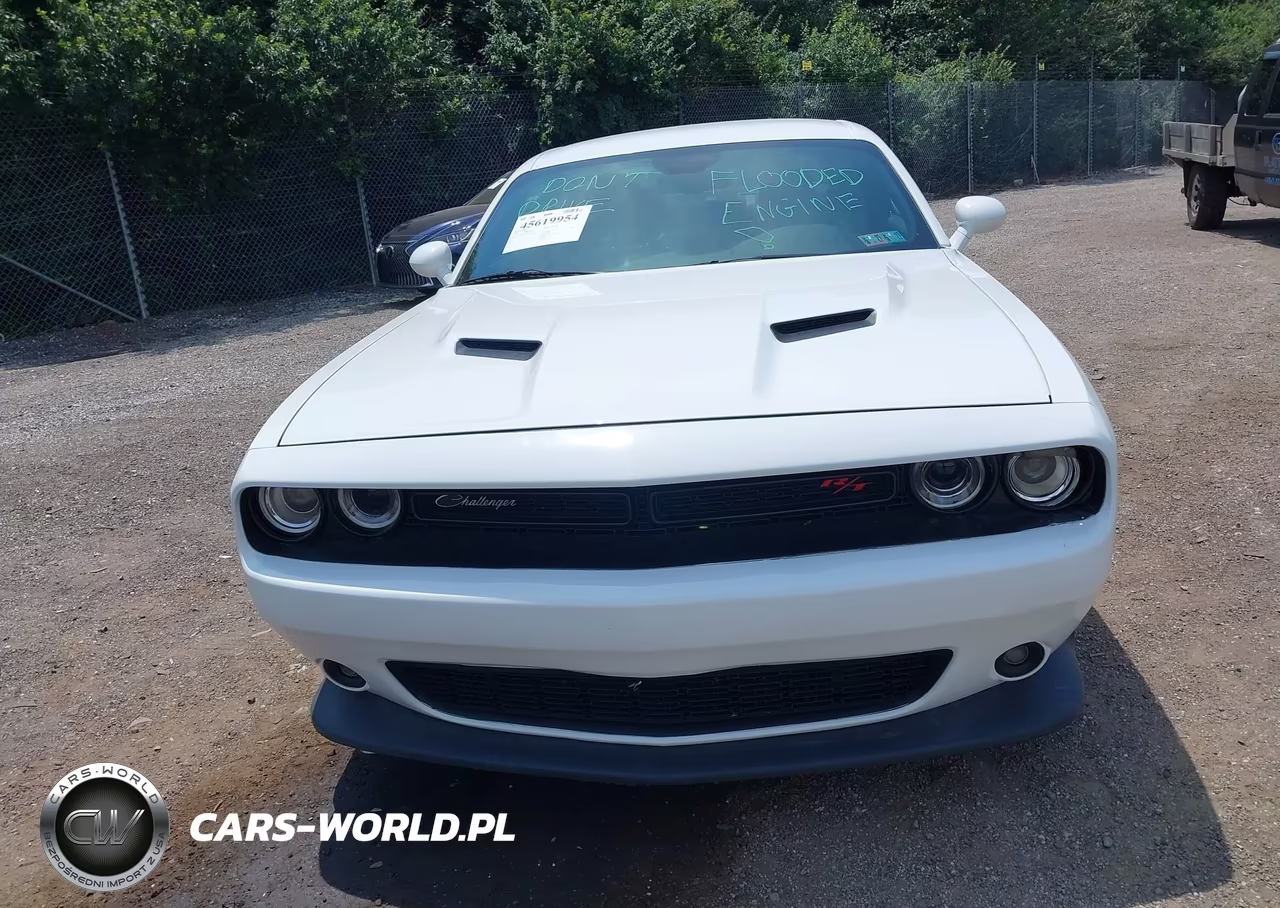 2021 Dodge Challenger Sxt VIN:2C3CDZAG9MH623463 - 13