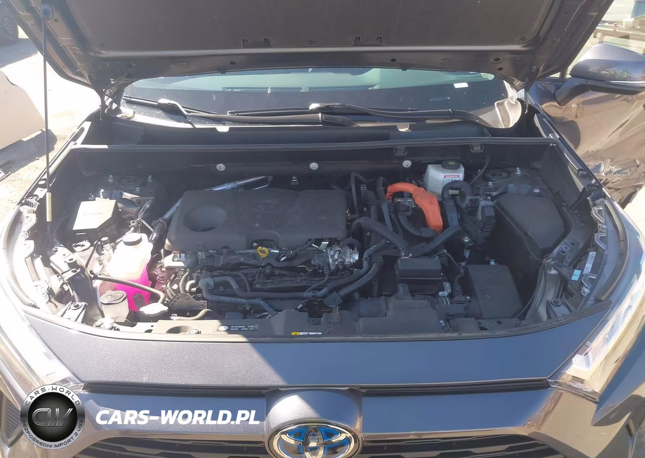 2024 Toyota Rav4 Hybrid Xle VIN:4T3RWRFV1RU152777 - 10