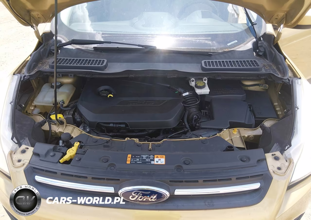 2014 Ford Escape Se VIN:1FMCU0GX0EUD84586 - 10