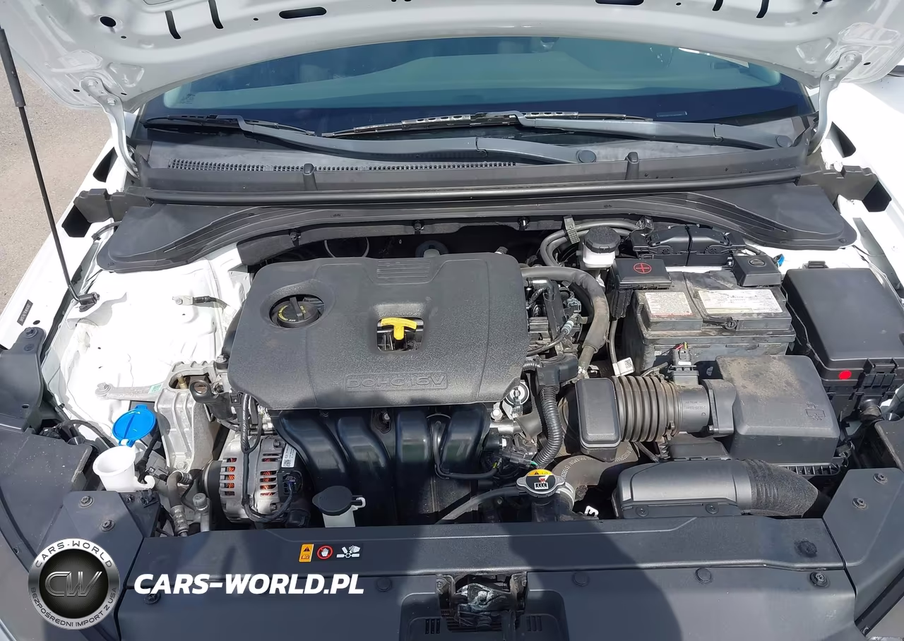 2020 Hyundai Elantra Se VIN:5NPD74LF9LH616582 - 10