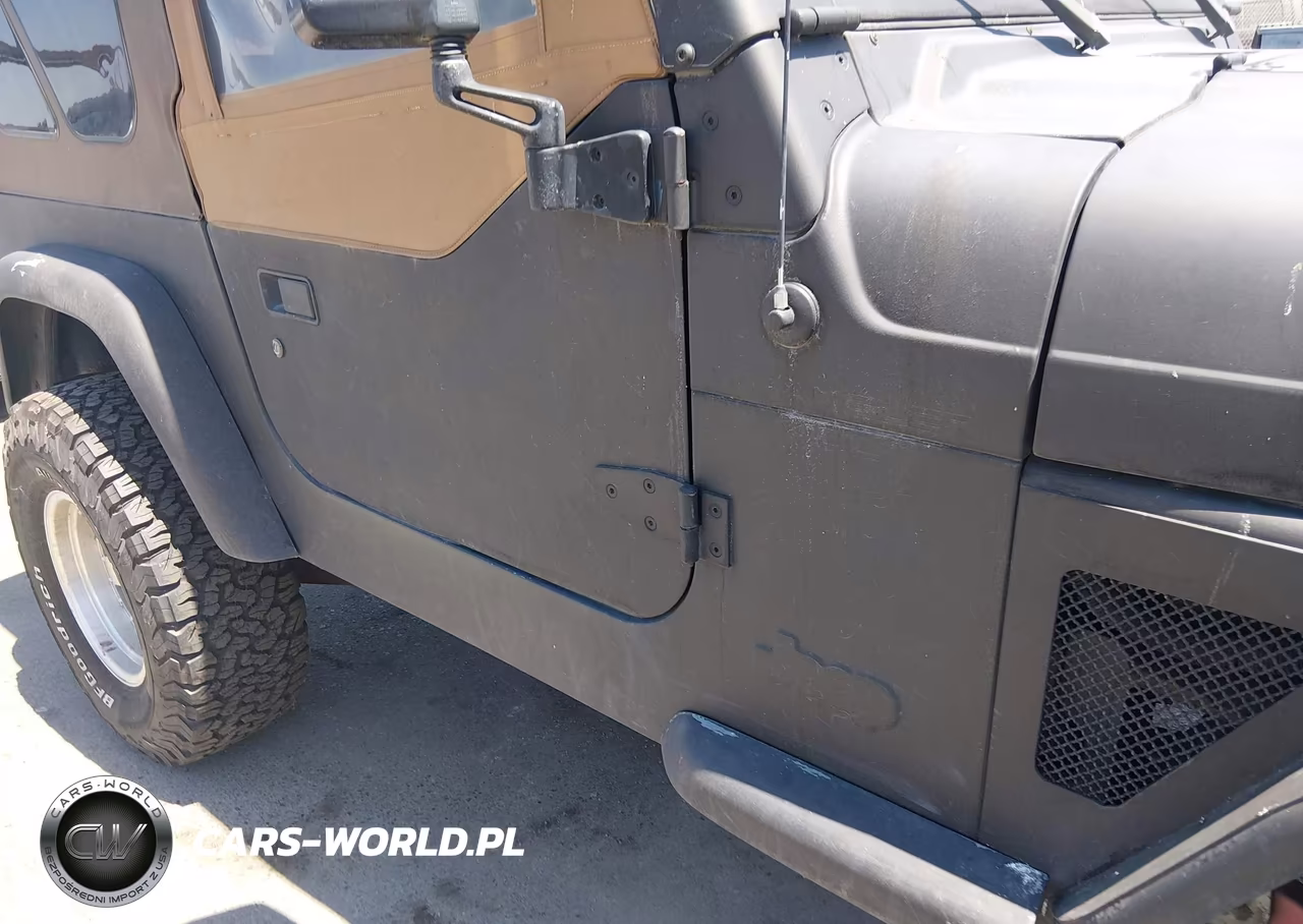 1999 Jeep Wrangler Sport VIN:1J4FY19S5XP460862 - 12