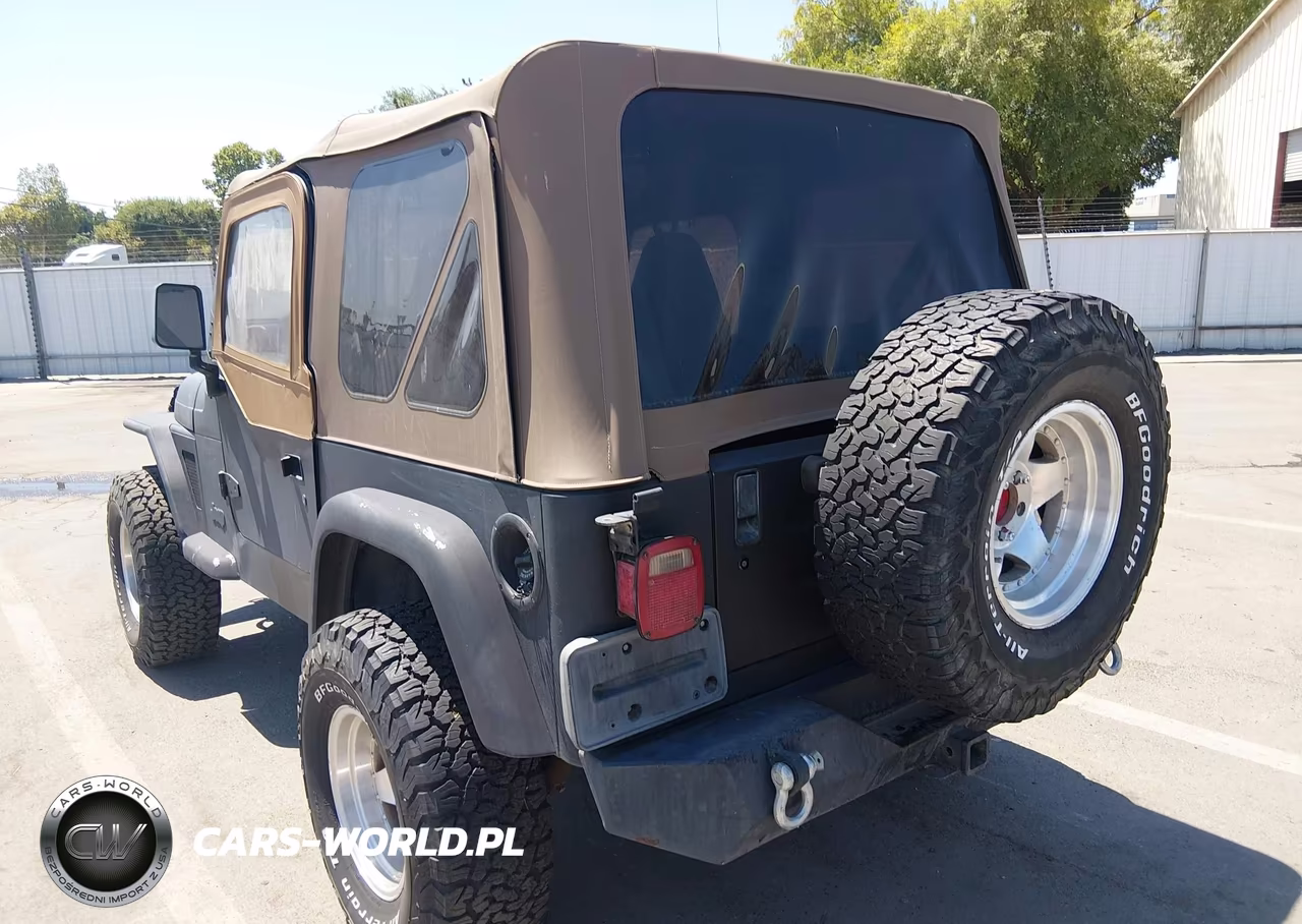 1999 Jeep Wrangler Sport VIN:1J4FY19S5XP460862 - 3
