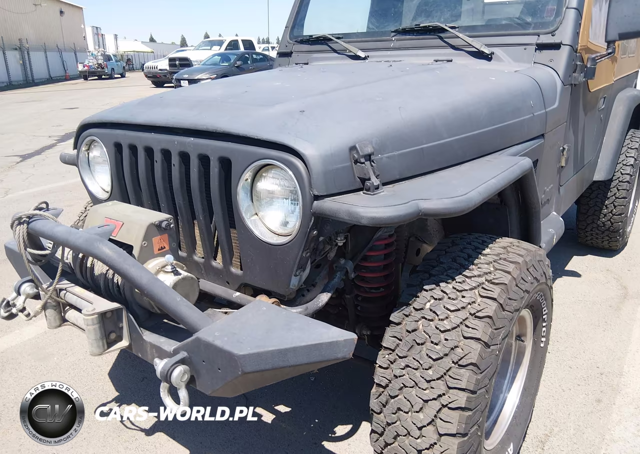 1999 Jeep Wrangler Sport VIN:1J4FY19S5XP460862 - 6
