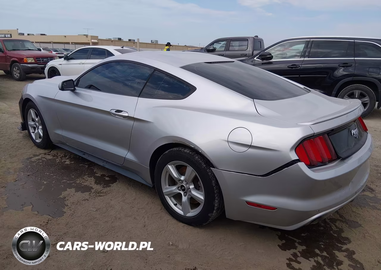 2015 Ford Mustang Ecoboost VIN:1FA6P8TH9F5376204 - 3
