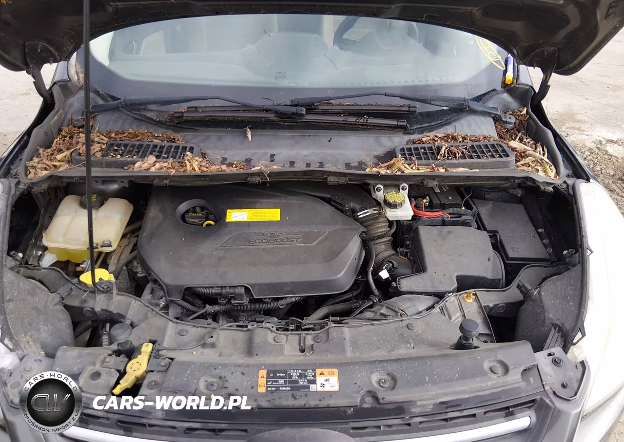 2015 Ford Escape Se VIN:1FMCU0GX6FUC61232 - 10