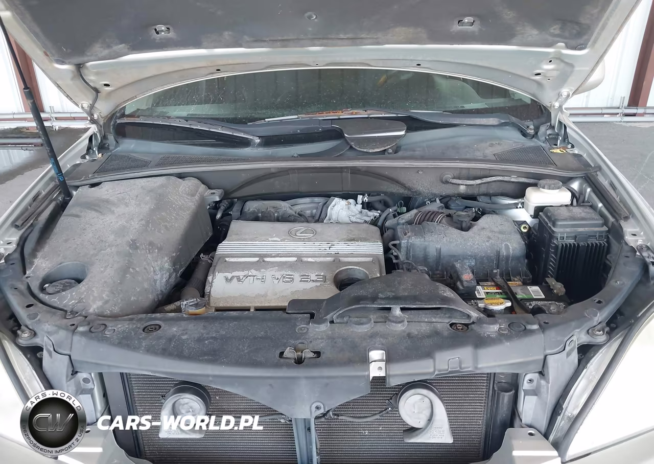 2004 Lexus Rx 330 VIN:2T2GA31U24C013886 - 10