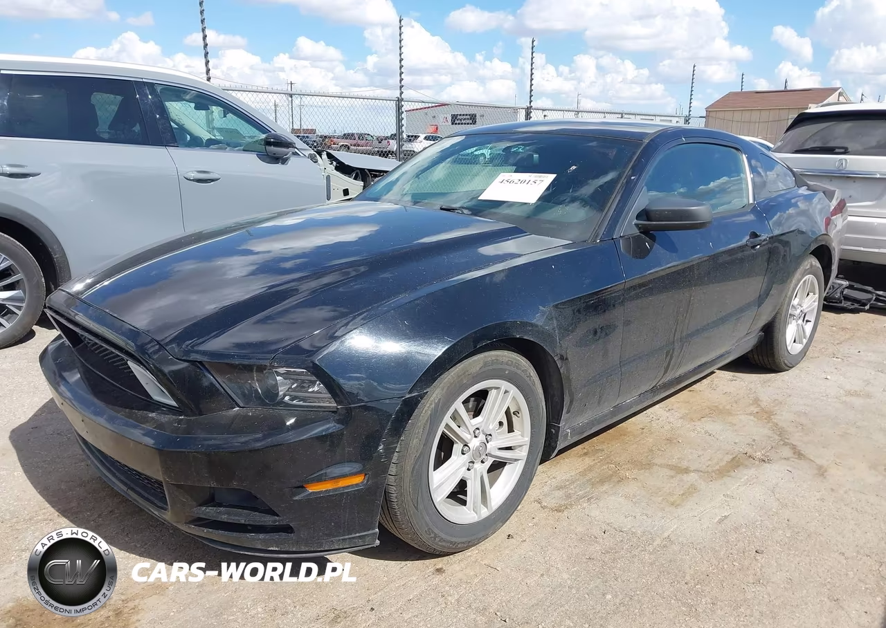 2014 Ford Mustang V6 VIN:1ZVBP8AM1E5306555 - 2