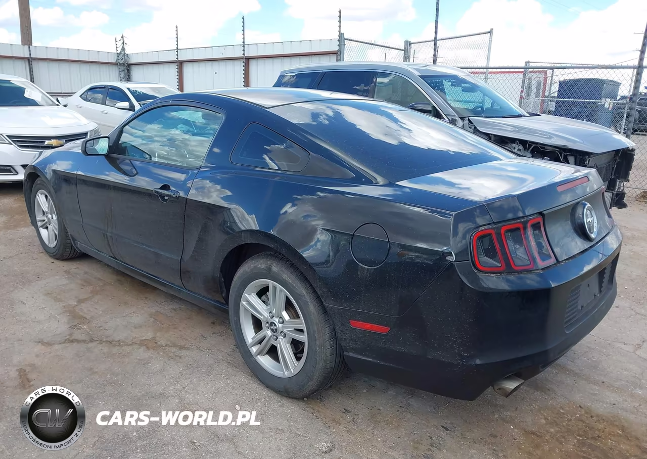 2014 Ford Mustang V6 VIN:1ZVBP8AM1E5306555 - 3