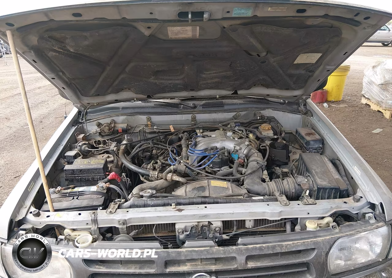1999 Nissan Pathfinder Le-Se-Xe VIN:JN8AR05S9XW322507 - 10