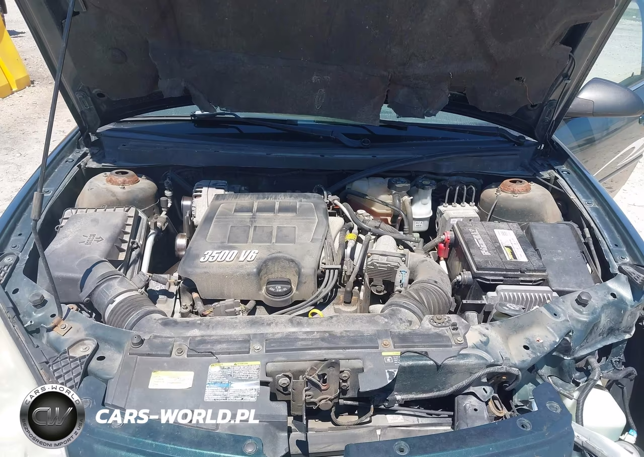 2006 Pontiac G6 VIN:1G2ZG558164225709 - 10