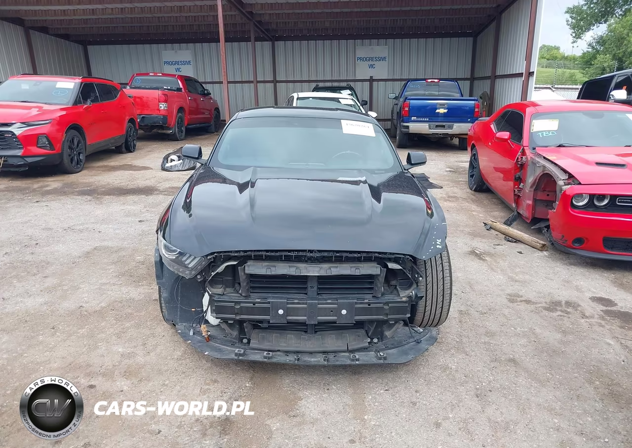 2017 Ford Mustang Ecoboost VIN:1FA6P8TH6H5246853 - 13