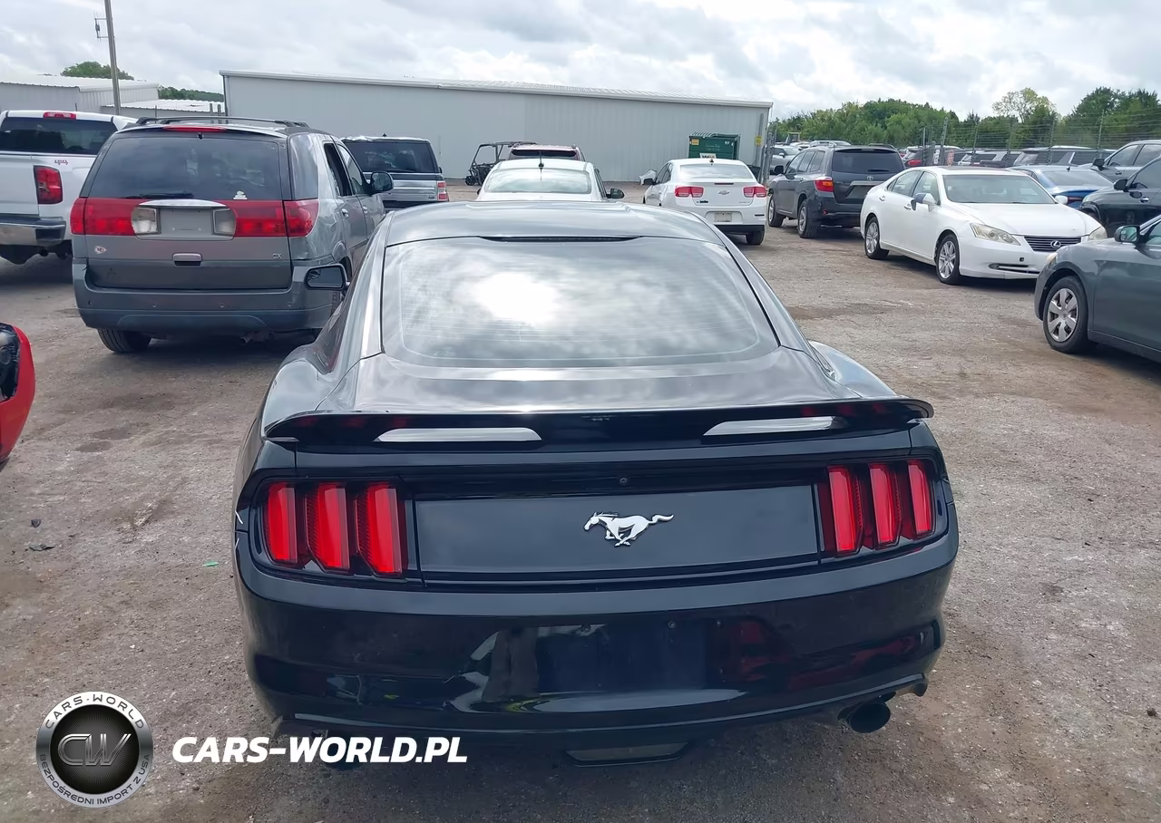 2017 Ford Mustang Ecoboost VIN:1FA6P8TH6H5246853 - 17