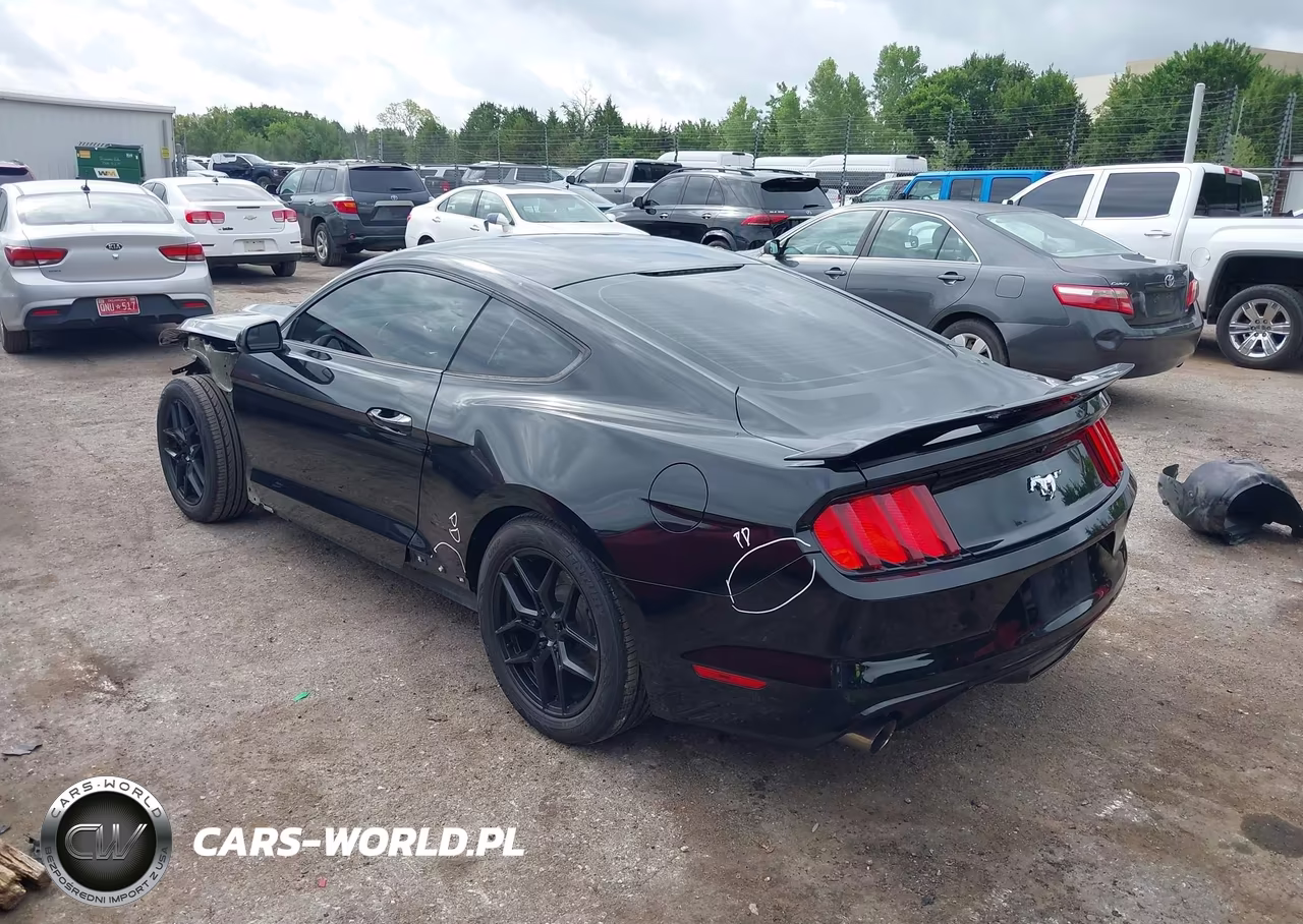 2017 Ford Mustang Ecoboost VIN:1FA6P8TH6H5246853 - 3