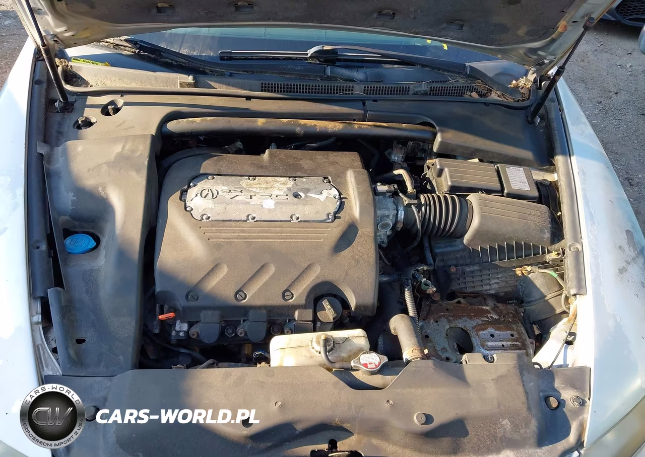 2004 Acura Tl VIN:19UUA66244A032414 - 10