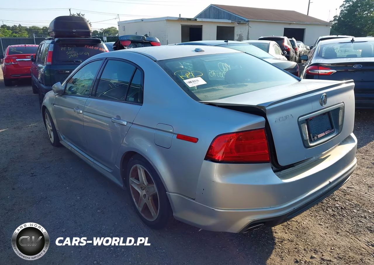 2004 Acura Tl VIN:19UUA66244A032414 - 3